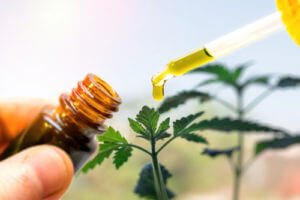 CBD For Brain Health